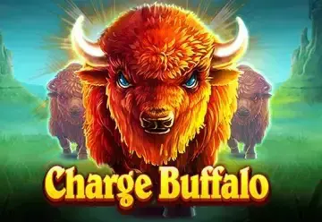 Charge Buffalo - SpinCity - Zimbabwe