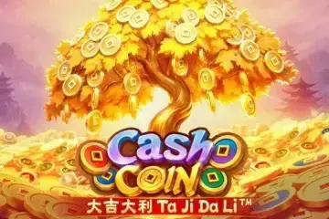 Cash Coin - SpinCity - Zimbabwe