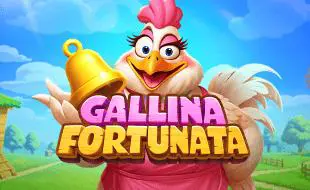 Gallina Fortunata - SpinCity - Zimbabwe
