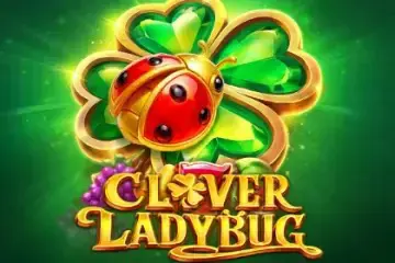 Clover Ladybug - SpinCity - Zimbabwe