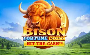 Bison Fortune Coins - SpinCity - Zimbabwe