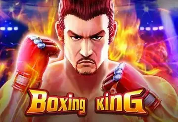 Boxing King - SpinCity - Zimbabwe