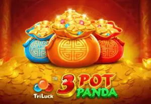 3 Pot Panda - SpinCity - Zimbabwe