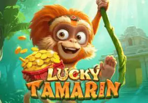 Lucky Tamarin - SpinCity - Zimbabwe
