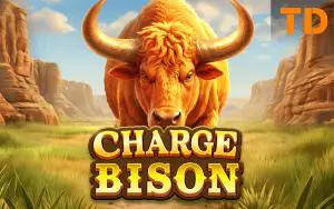 Charge Bison - SpinCity - Zimbabwe