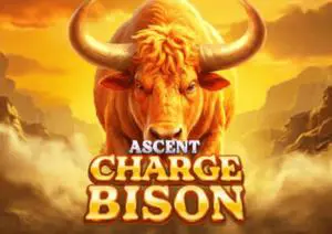 Charge Bison Ascent - SpinCity - Zimbabwe