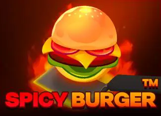 Spicy Burger - SpinCity - Zimbabwe