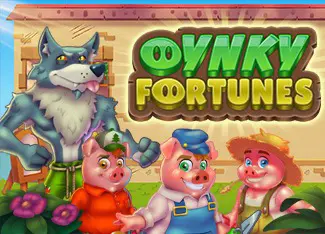 Oynky Fortunes - SpinCity - Zimbabwe