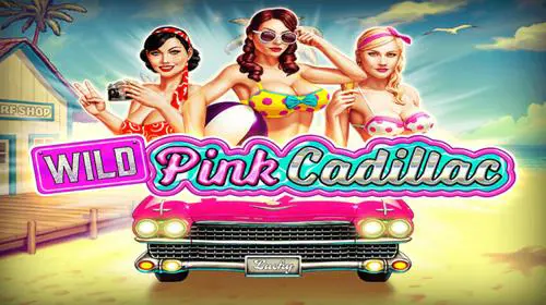 Wild Pink Cadillac - SpinCity - Zimbabwe