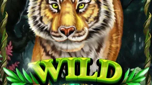 Wild Jungle game cover image by betfouders