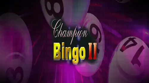 [Bingo]Champions 2 game cover image by betfouders