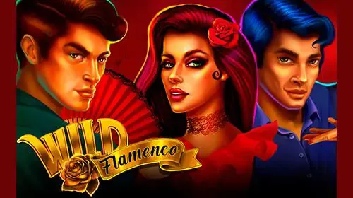 Wild Flamenco game cover image by betfouders