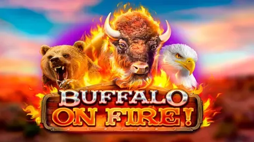 Buffalo on Fire! game cover image by betfouders