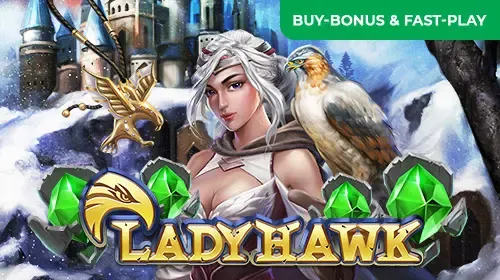 Lady Hawk game cover image by betfouders