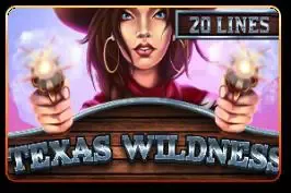 Texas Wildness game cover image by betfouders