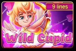 Wild Cupid game cover image by betfouders